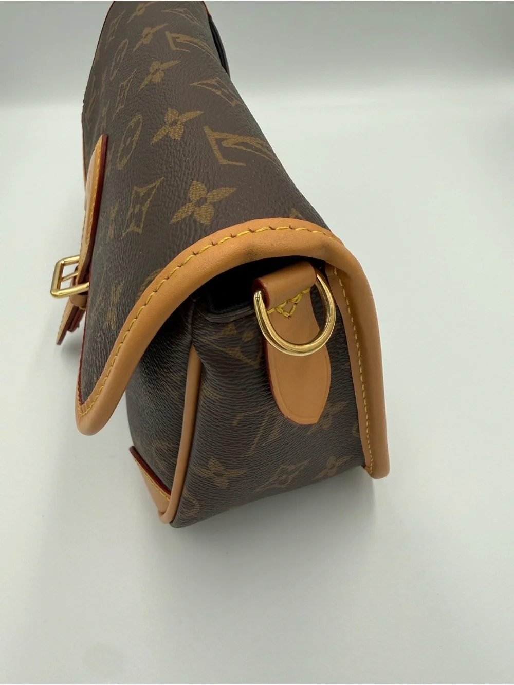 Louis Vuitton Diane Monogram Bag w/Shoulder and Crossbody Straps, Pristine